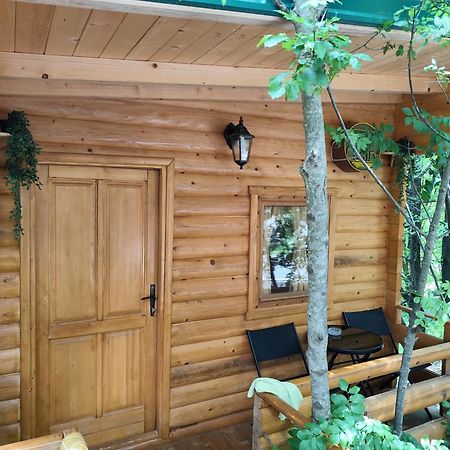 סטינג'ה Still Cabin מראה חיצוני תמונה