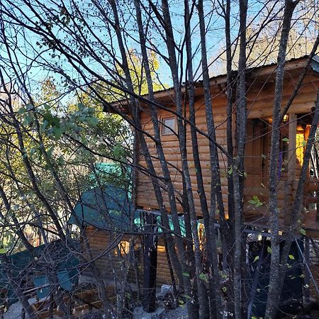 סטינג'ה Still Cabin מראה חיצוני תמונה