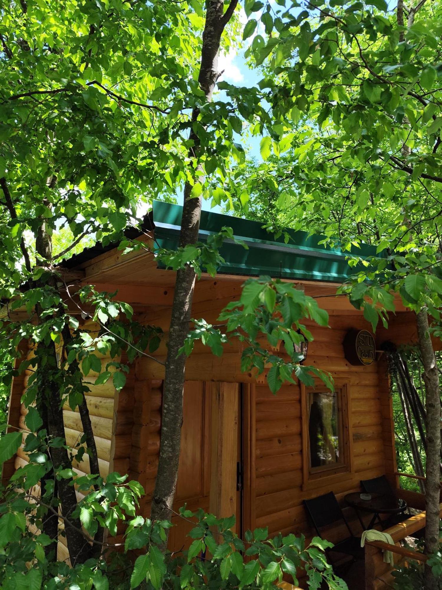 סטינג'ה Still Cabin מראה חיצוני תמונה