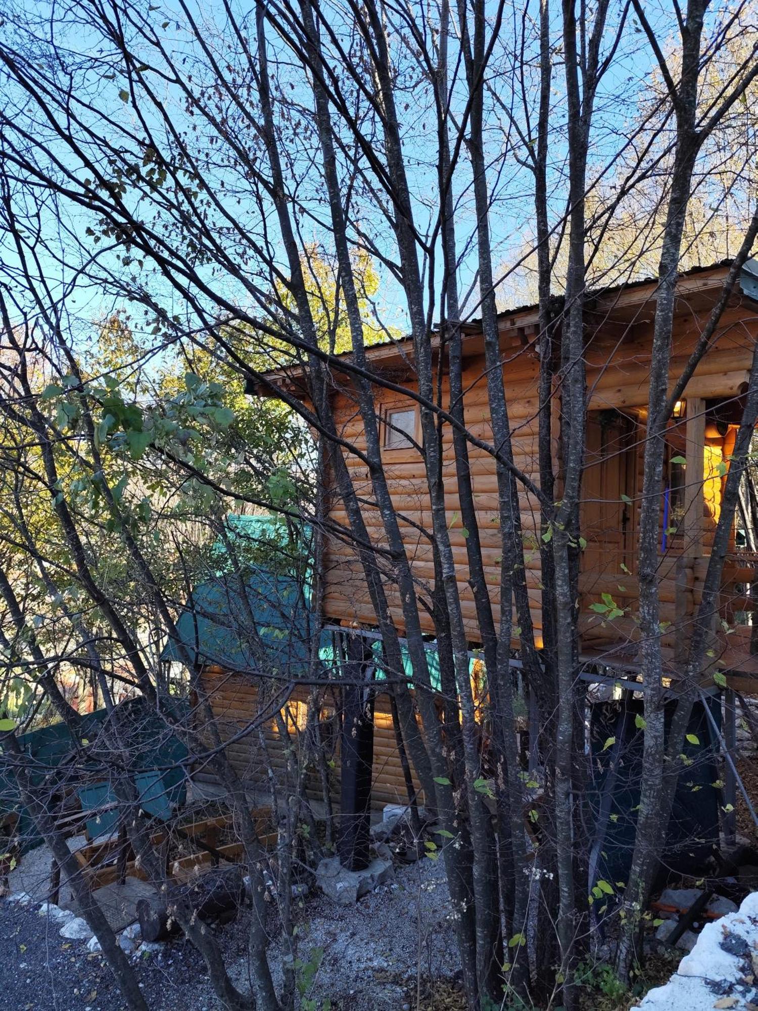 סטינג'ה Still Cabin מראה חיצוני תמונה